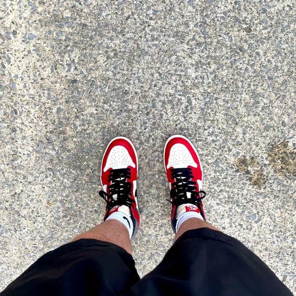 Meet your Posher, Louie - Picture 1 of 2